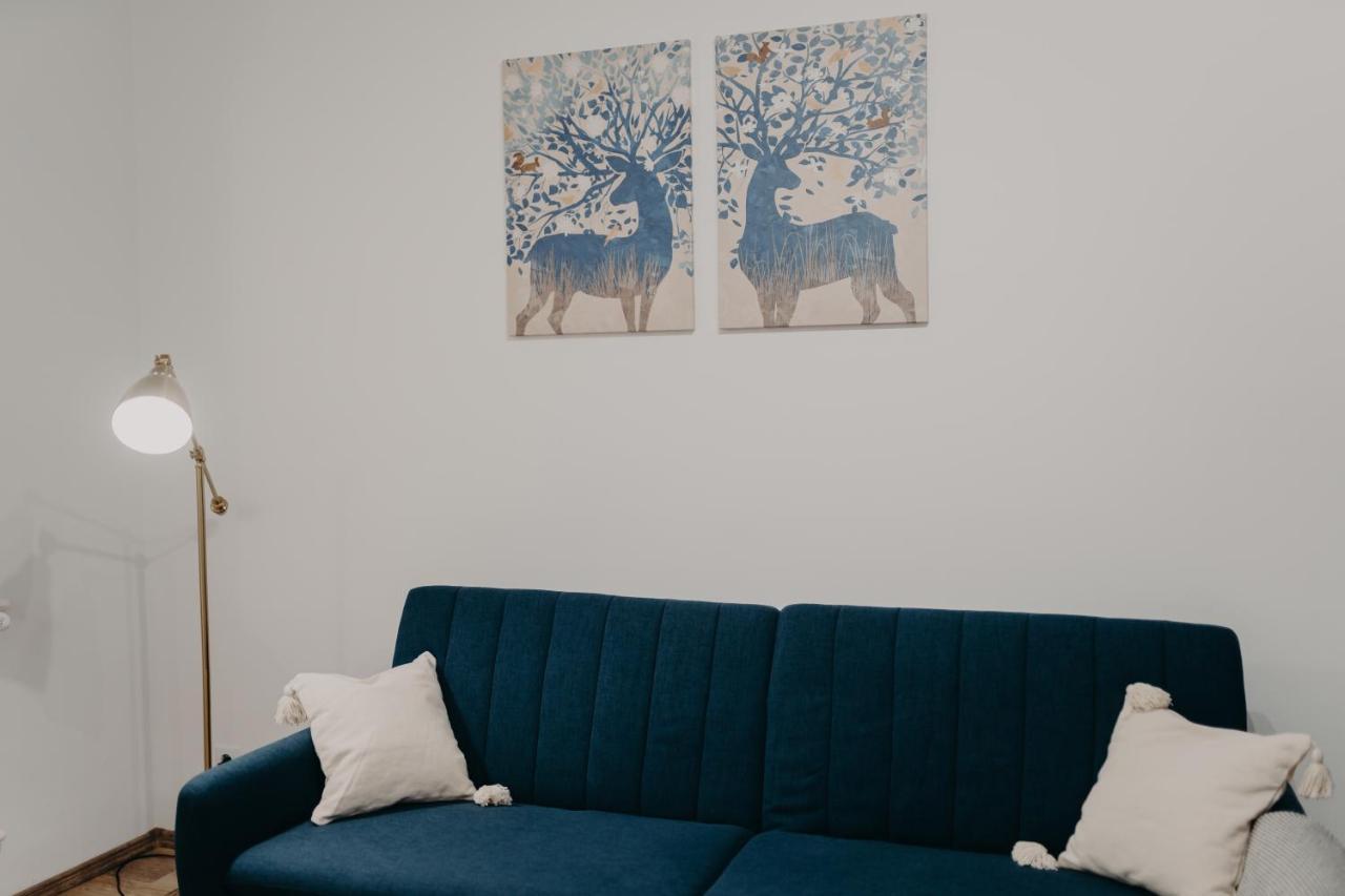 Apartamentul Albastru Vatra Dornei Luaran gambar