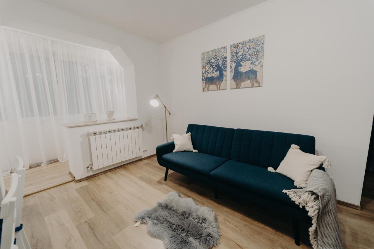 Apartamentul Albastru Vatra Dornei Luaran gambar